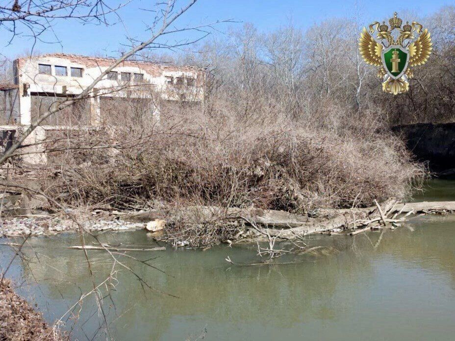     Автор: Прокуратура СК