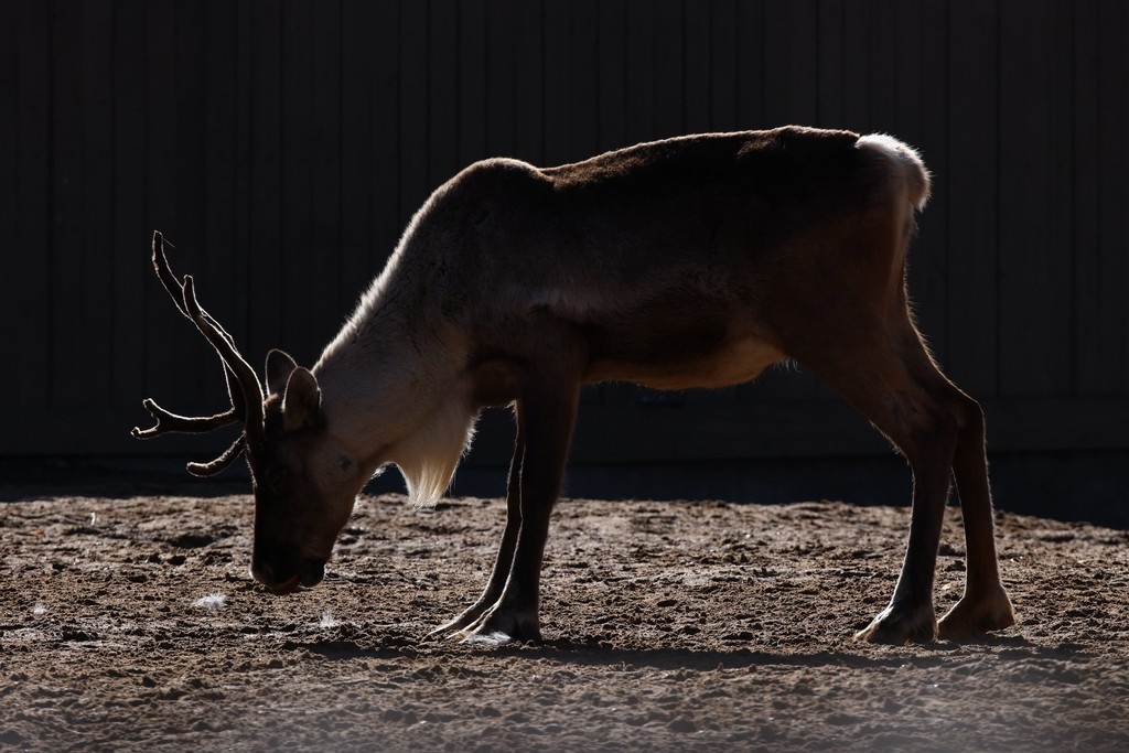    Фото © Анастасия Романова / Абзац