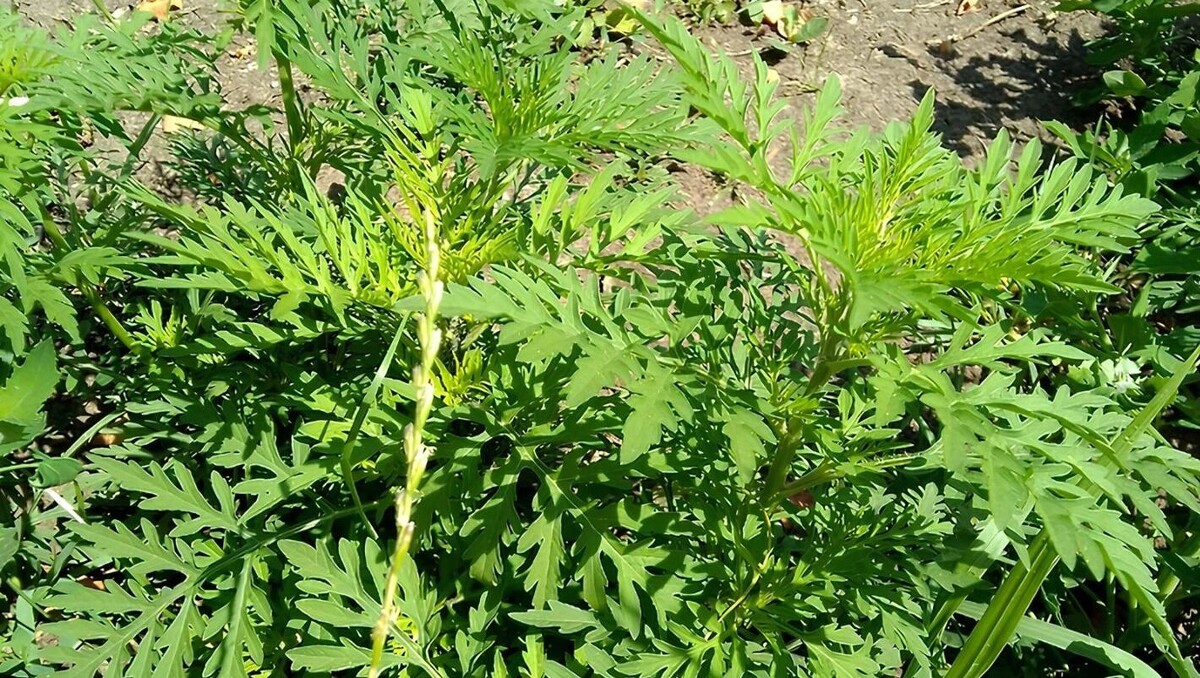     Источник: страница Вячеслава Гладкова в ВК