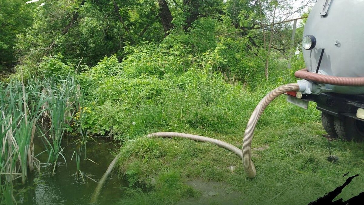     Источник: t.me/ekoohotnadzor31