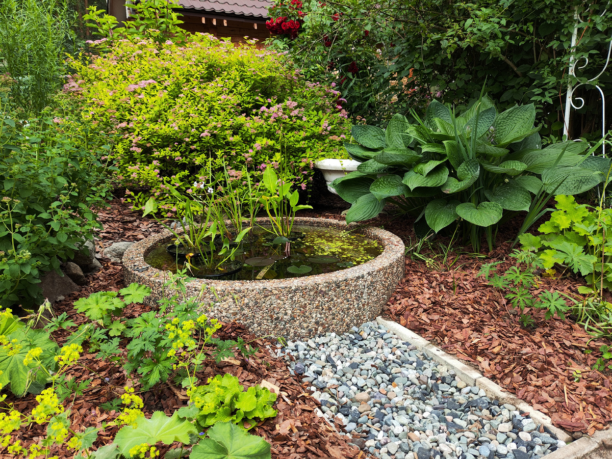 Вот такой прудик у нас получился