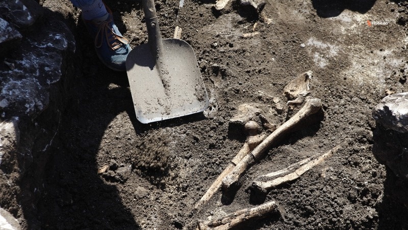      Фото: ИА «Победа26»