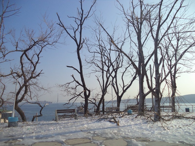 Сквер весь обледенел зимой
