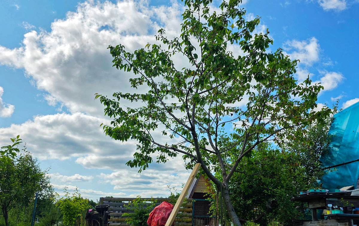 Пришлось подпирать