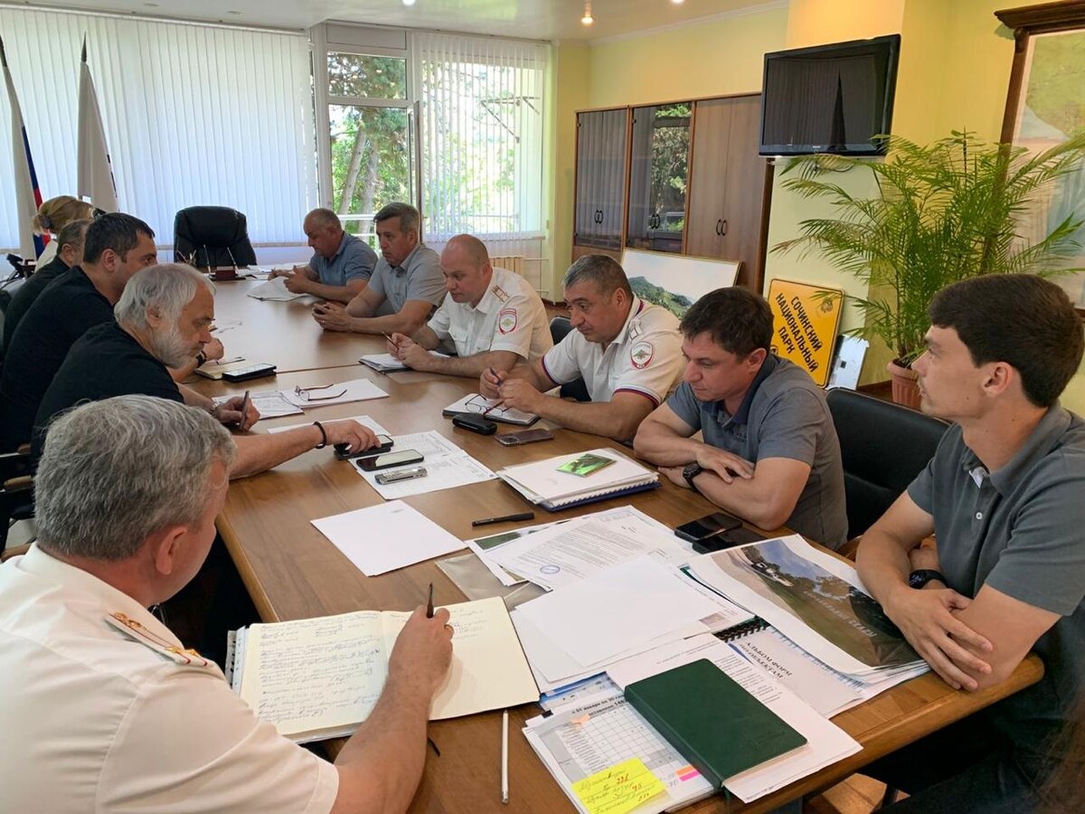 фото: Пресс-служба ФГБУ «Сочинский национальный парк»  📷
