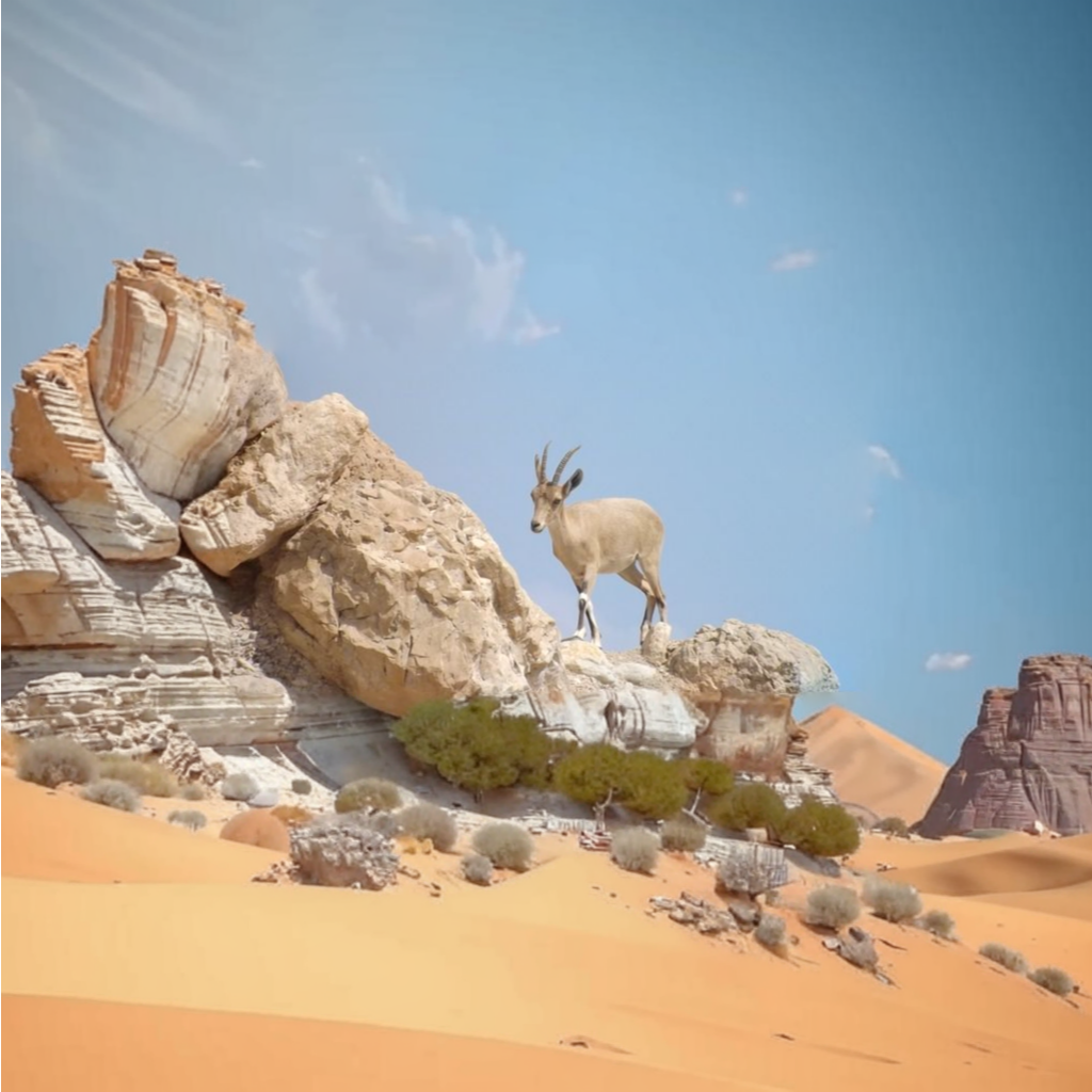 Горная коза