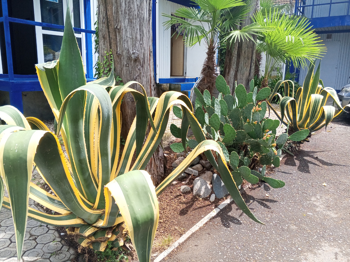 Айтар, 17 июня 2025