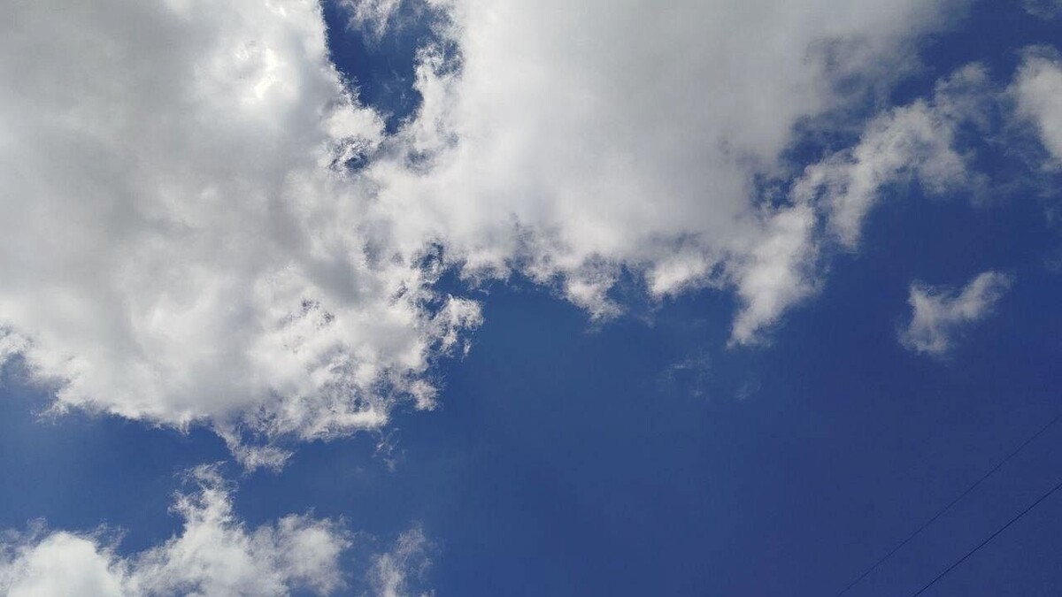    Фото: телеканал «Краснодар»