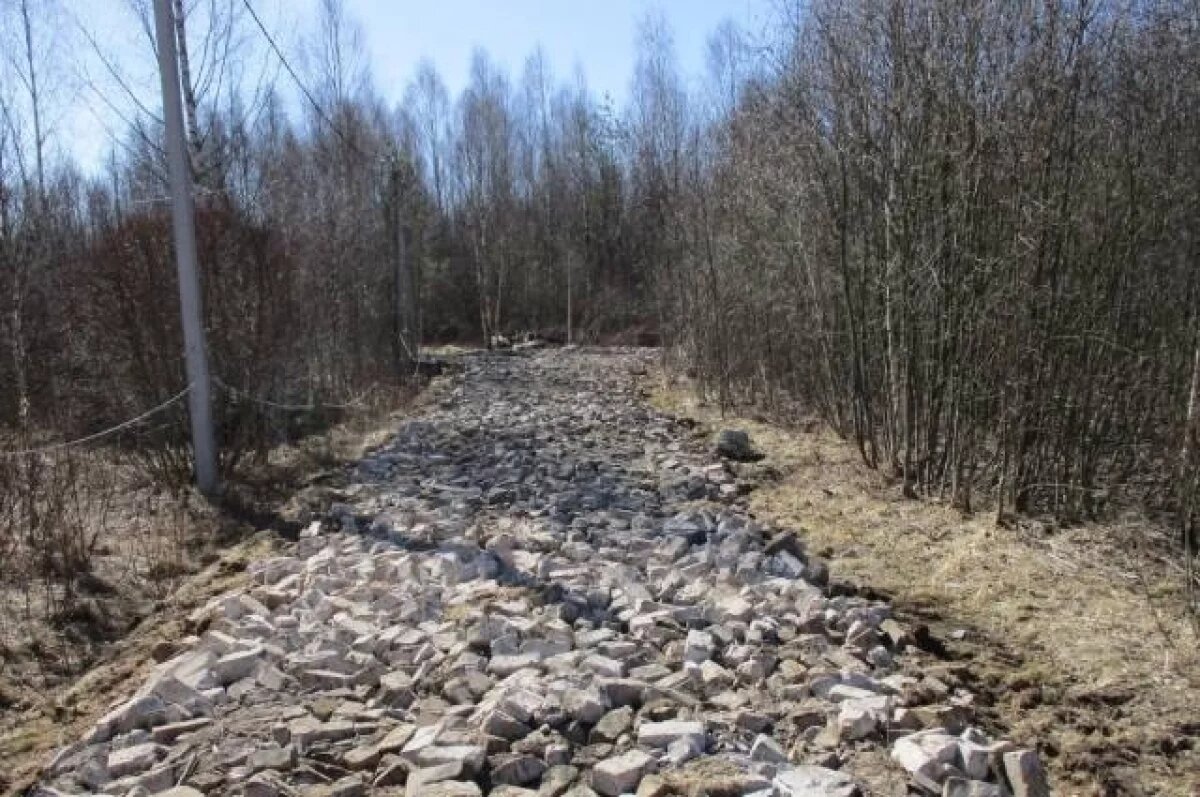    В Тверской области нашли свалку стройматериалов