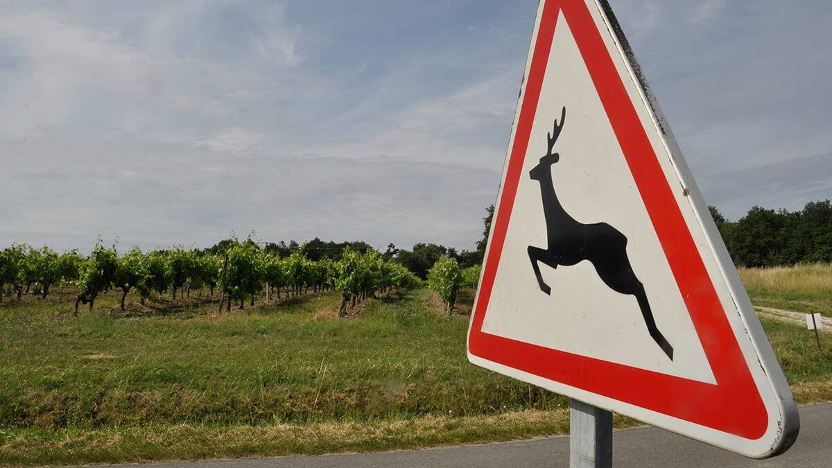    Фото: Shutterstock