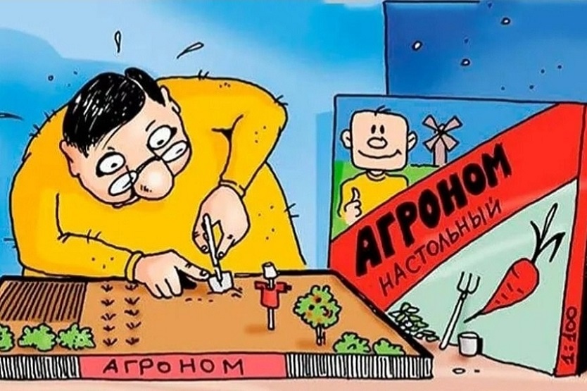 Картинки из источника: soya-pfo.ru