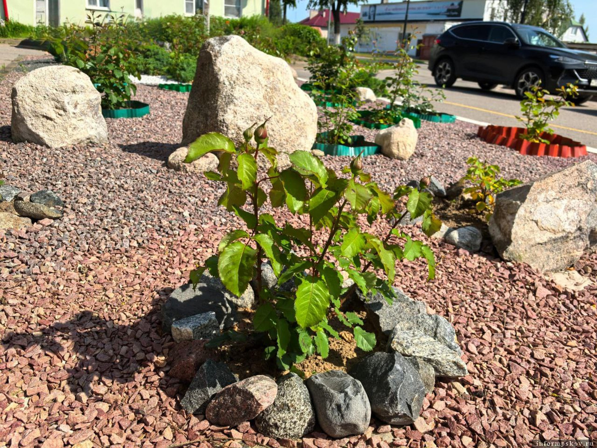 Фото здесь и далее из телеграм-канала Леонида Курсенкова