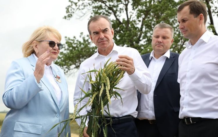    Фото: Пресс-служба Администрации Краснодарского края