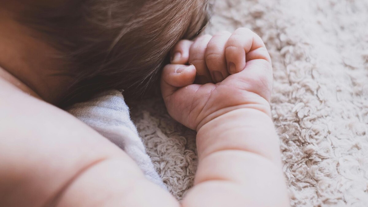    Фото: unsplash.com