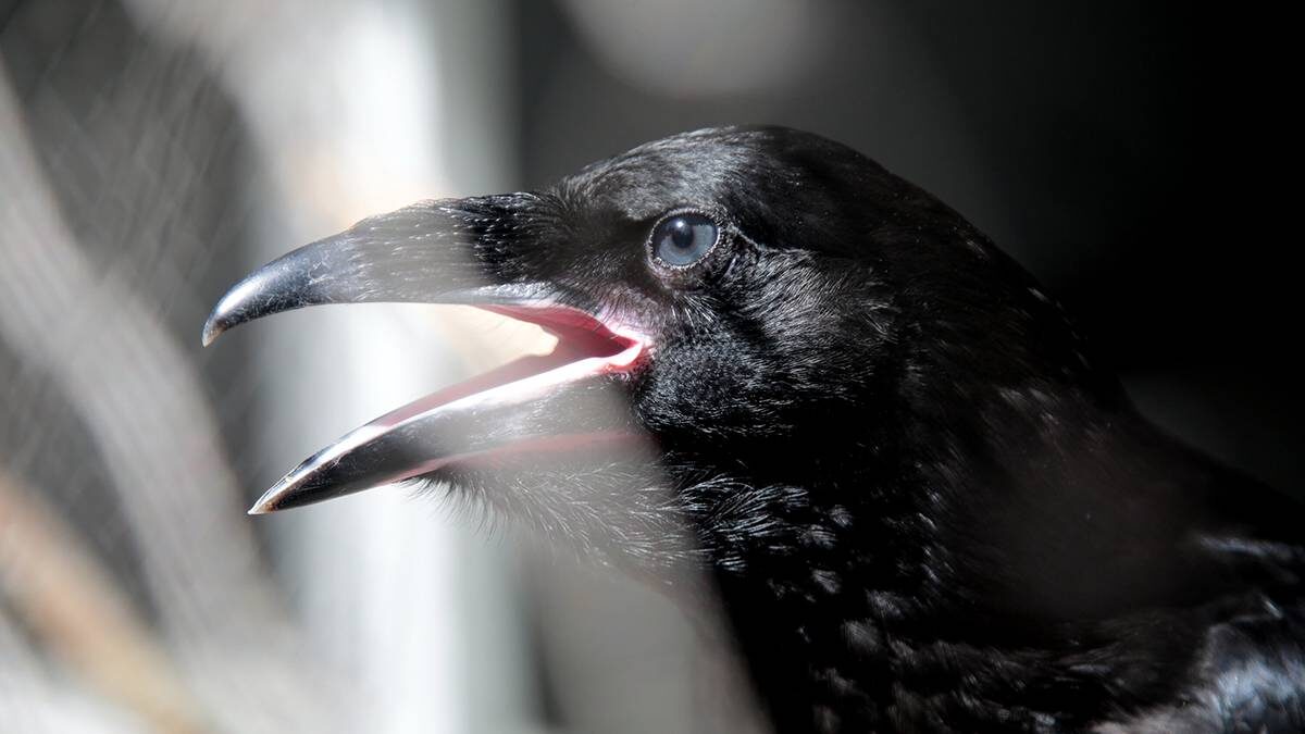    Фото: Артур Новосильцев / АГН Москва
