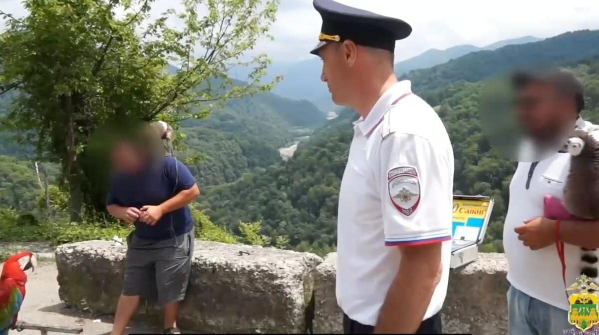    Фото t.me/police_sochi