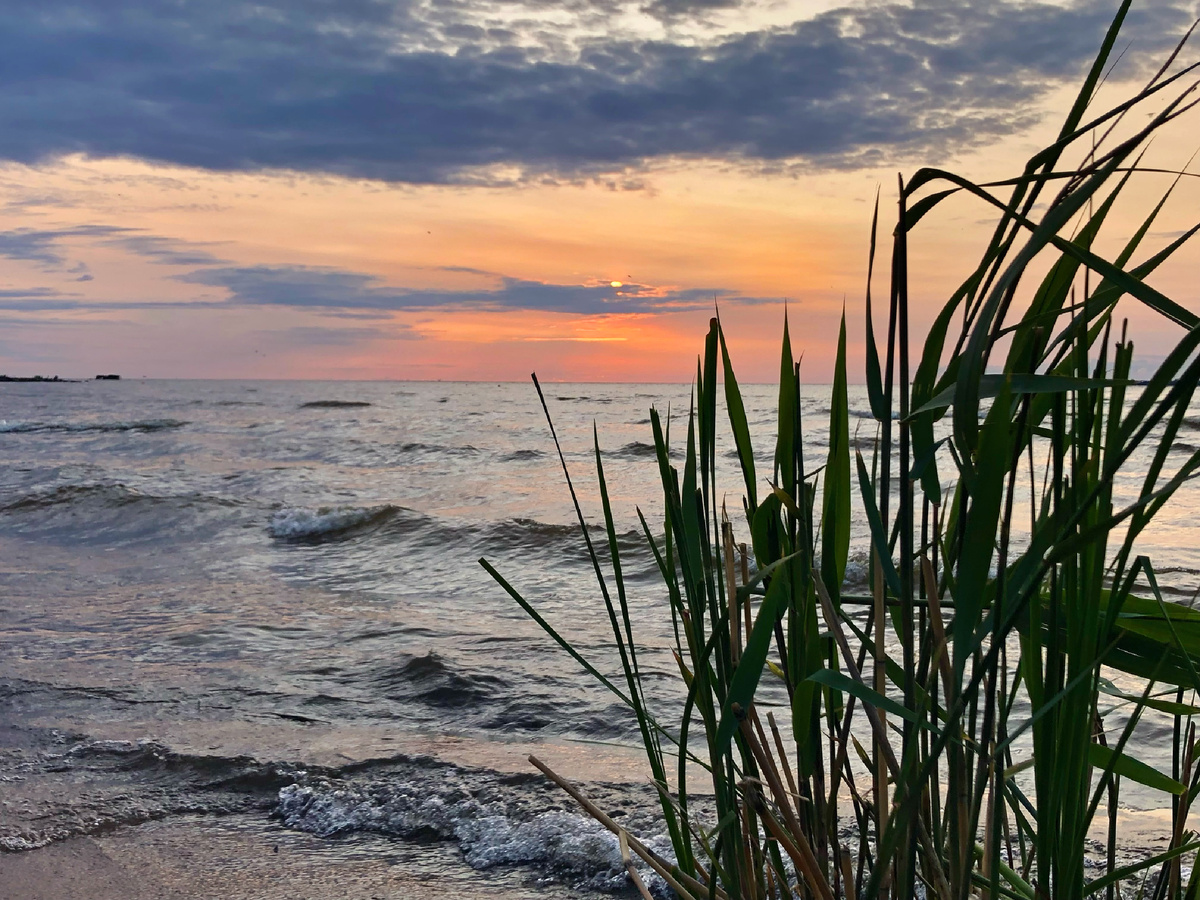 Ловим дзен и выбираем себя