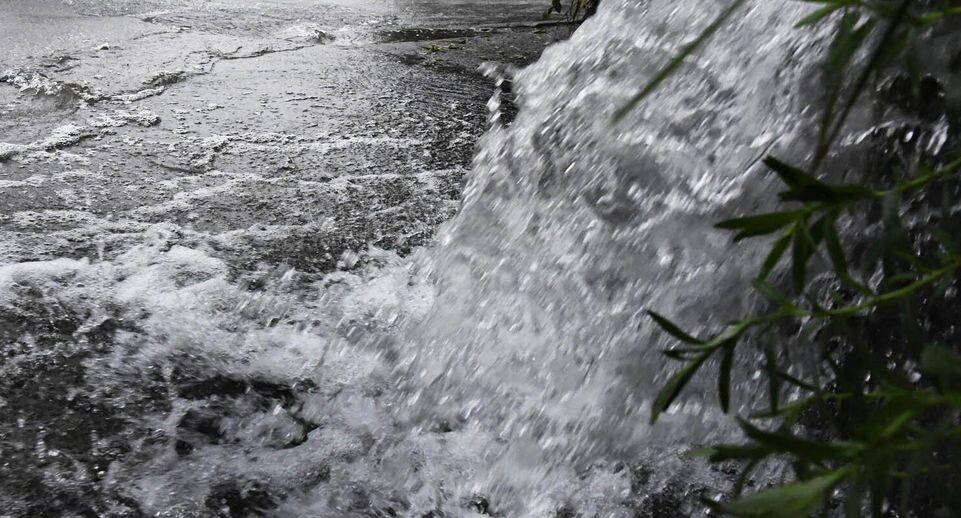    РИА «Новости»