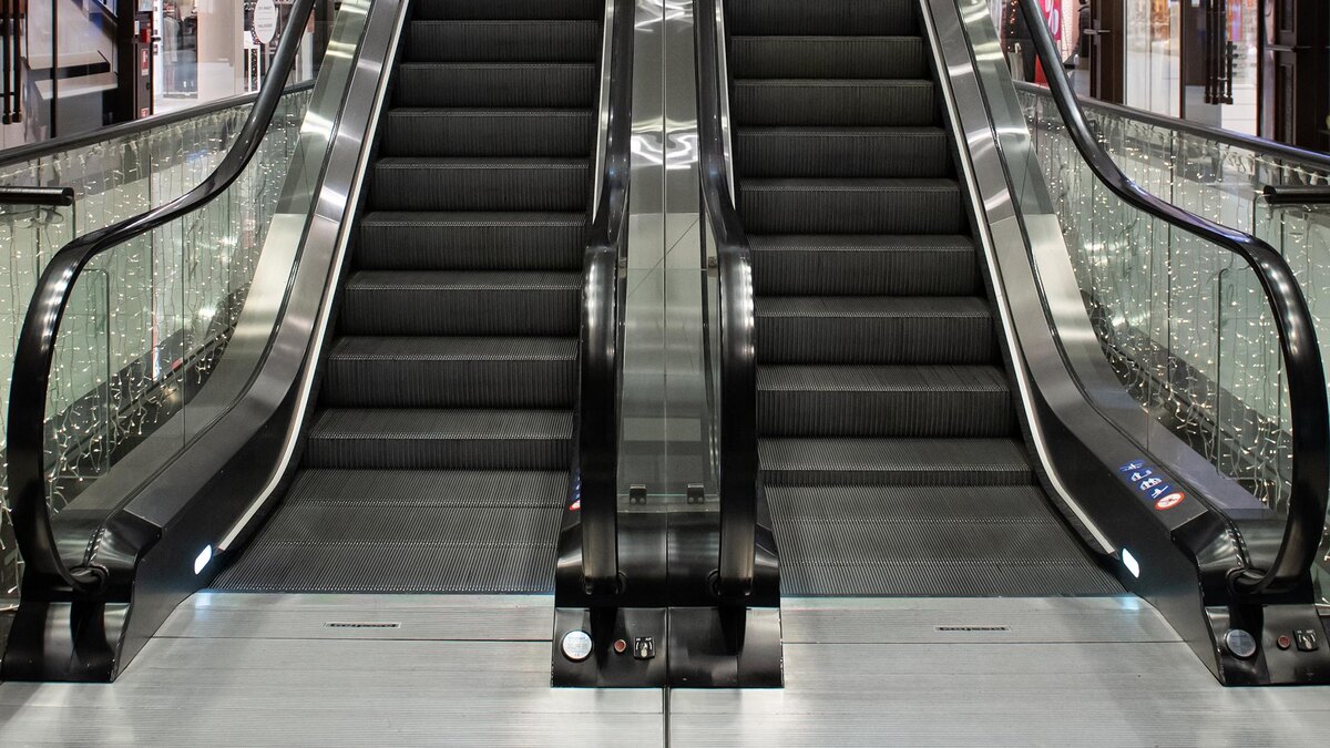    Фото: Bernd von Jutrczenka/globallookpress.com