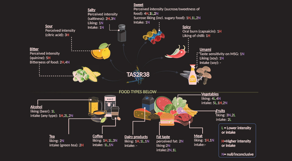   Nunes et. al / European Journal of Nutrition, 2025
