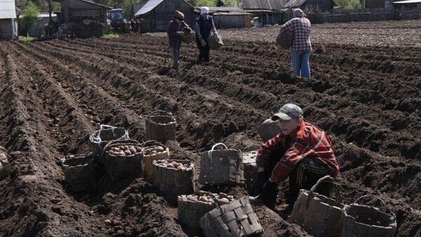    © Sputnik / Алексей Мальгавко