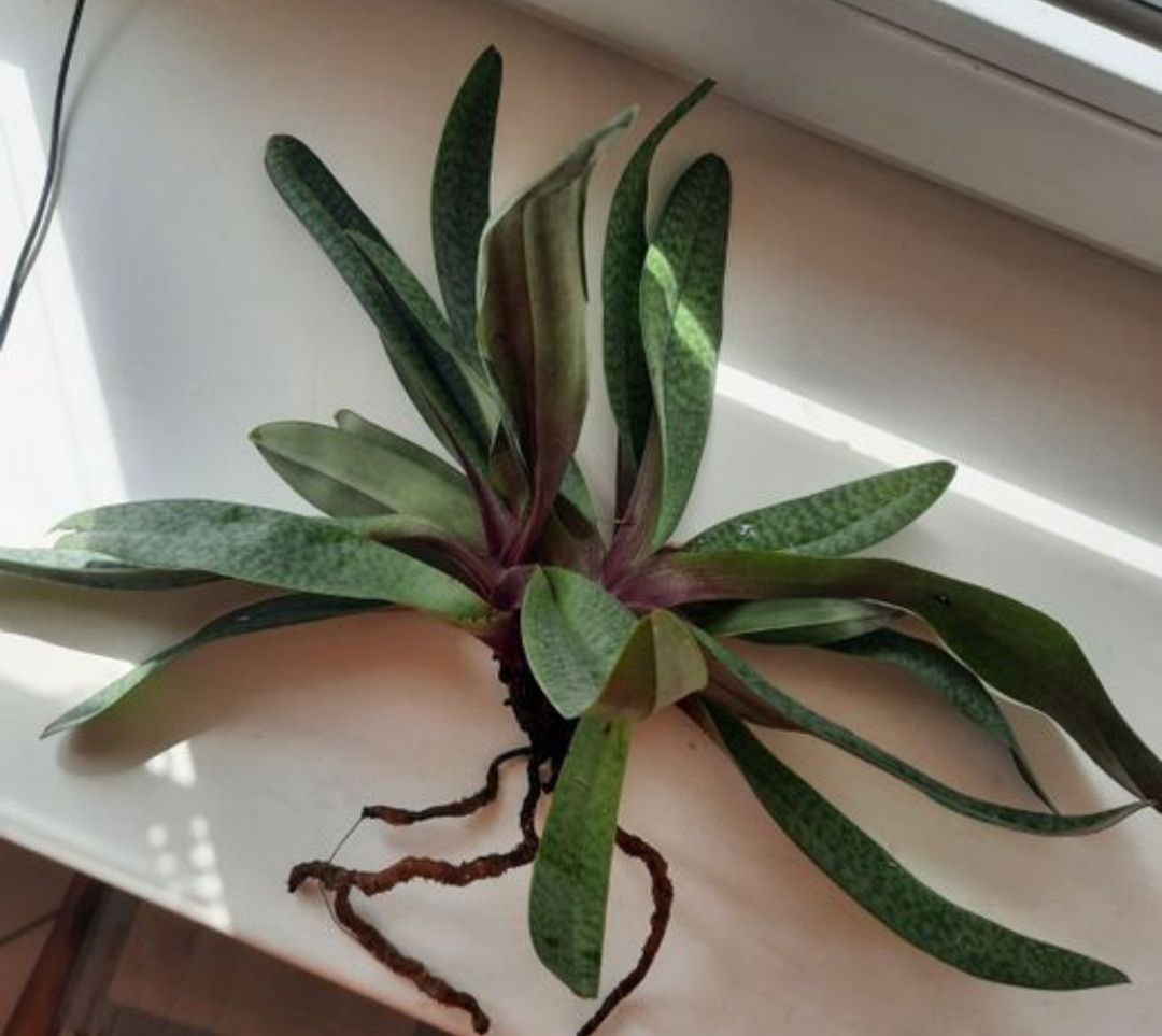 Галерея листается. 