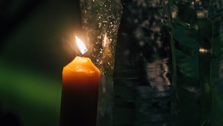    Фото: KazanFirst