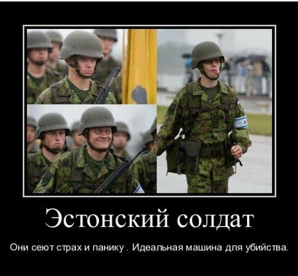 (фото из открытых источников)