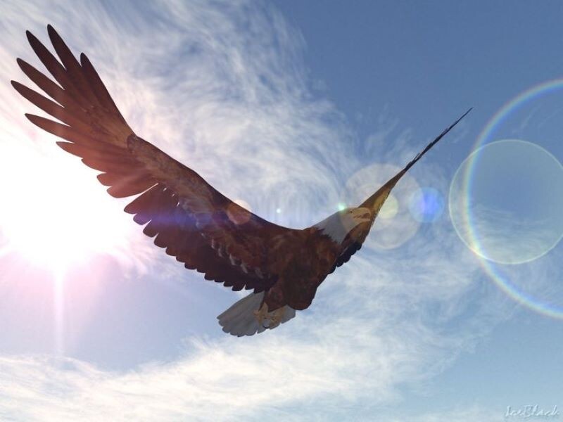 Яндекс картинки, фото отсюда ru.pinterest.com