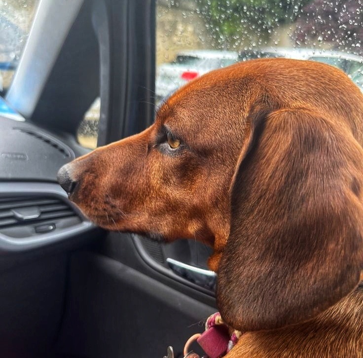 В дождь предпочитаю передвигаться на машине