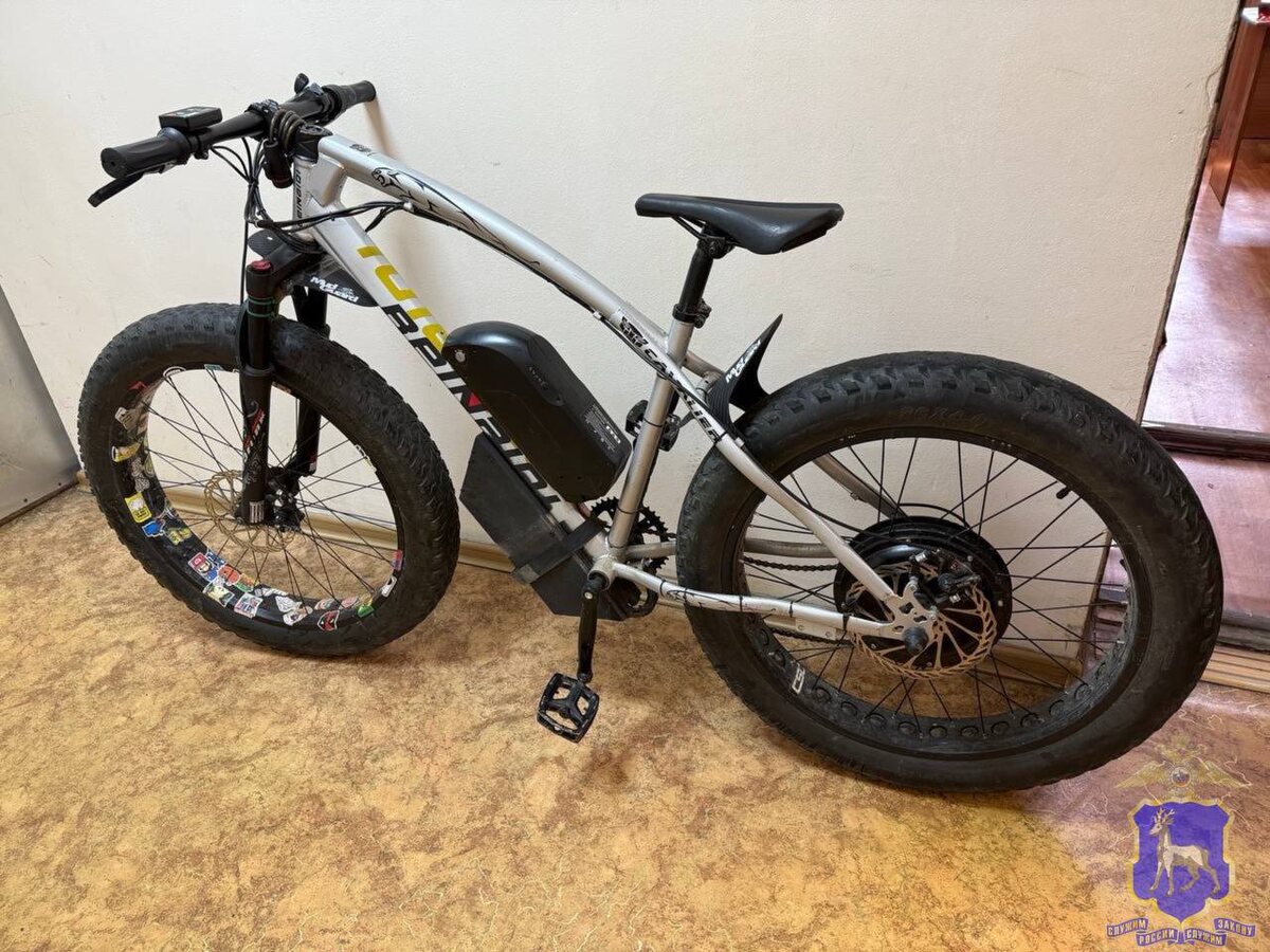    Фото ГУ МВД по Самарской области