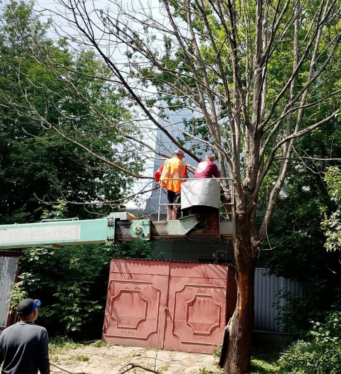 Фото: Администрация Курска