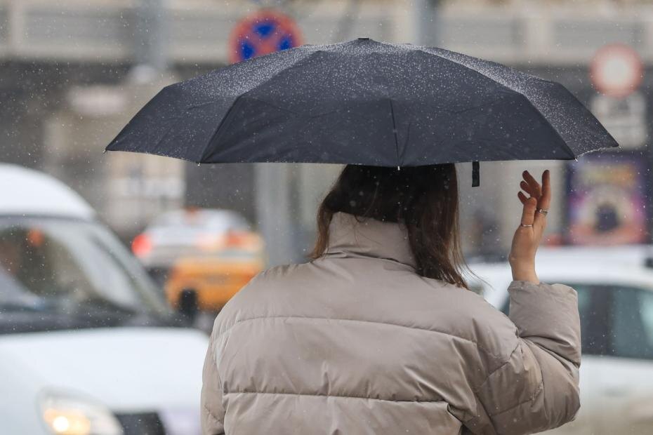    Наталья Шатохина/NEWS.ru