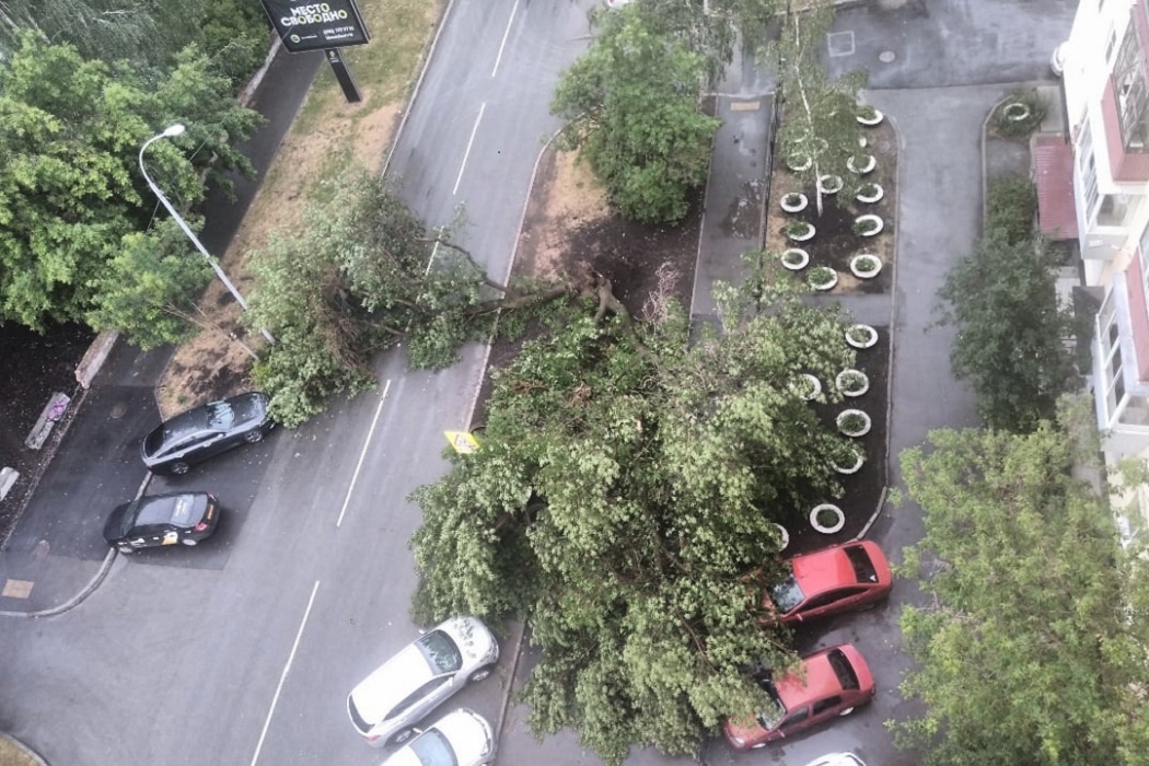    Фото: читатель ИА «Уральский меридиан» Павел