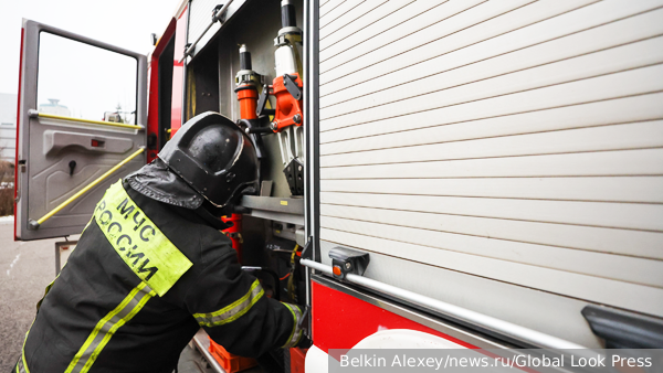     Фото: Belkin Alexey/news.ru/Global Look Press   
 Текст: Елизавета Шишкова