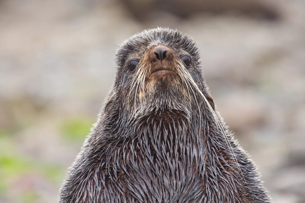    История длиной в тысячелетия. Фото: Геннадий Юсин