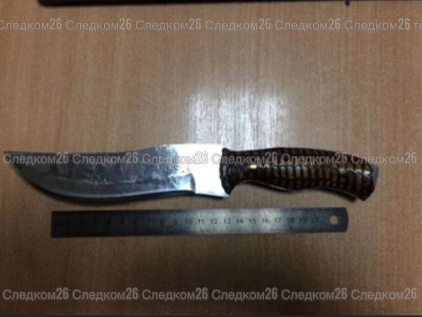     Автор: СУ СКР по Ставропольскому краю