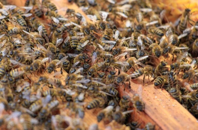    Фото: freepik.com/free-photo Екатерина Шахнина