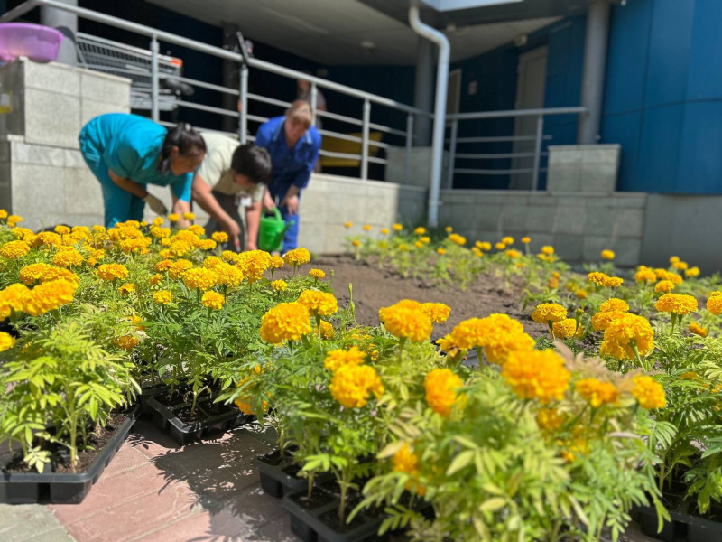    Пациентов ОКБ Ханты-Мансийска лечат красотой рукотворных цветников