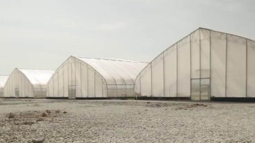 Фото: Александр Бречалов, Telegram