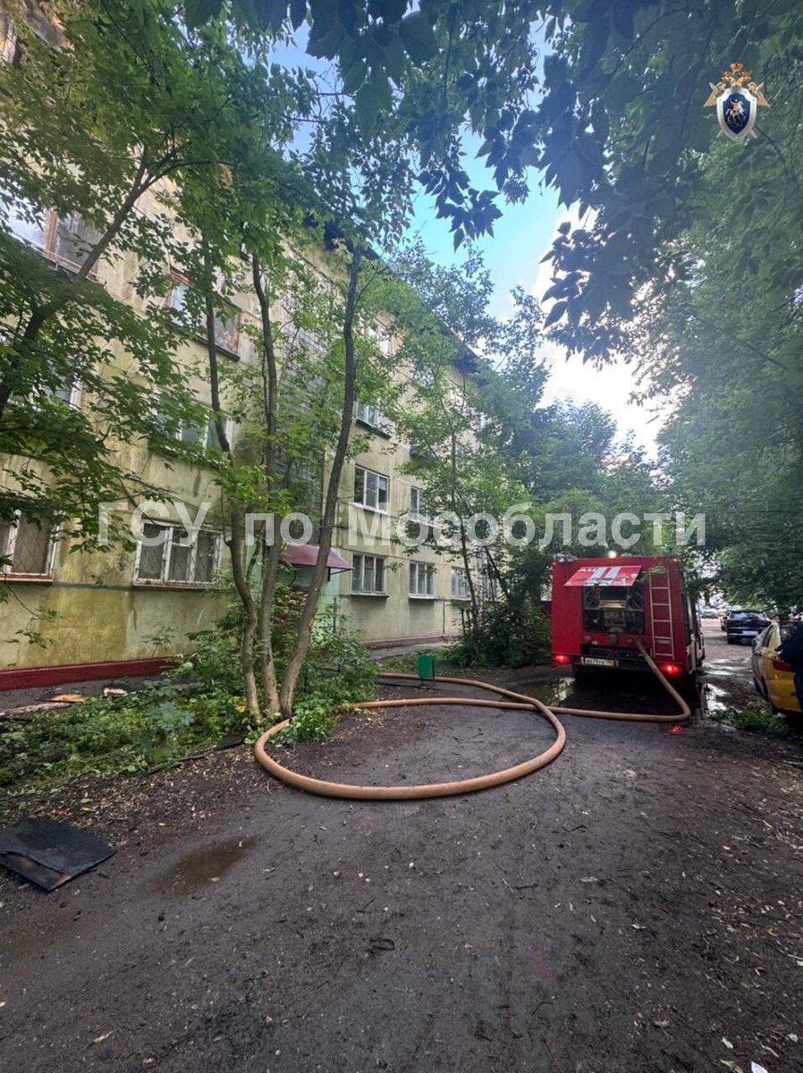    Фото: прокуратура МО