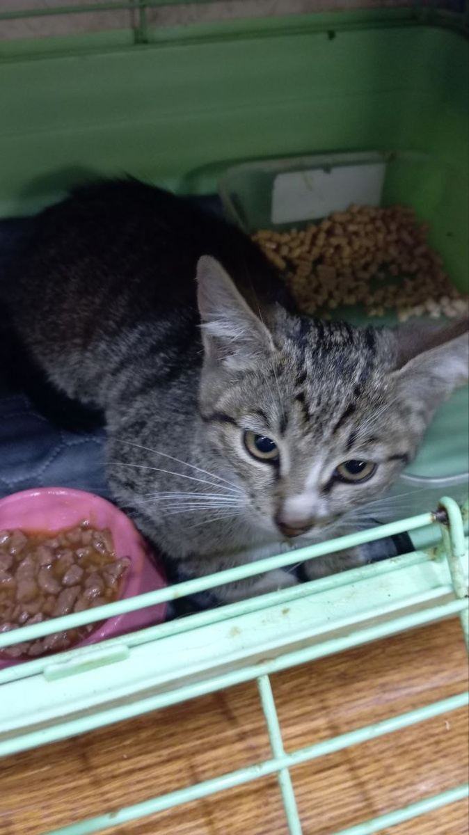 Страшно пока, даже еда не привлекает.