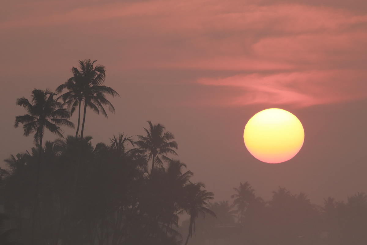 Фото Вера Казанцева