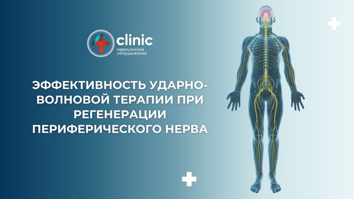 Обзор научной статьи