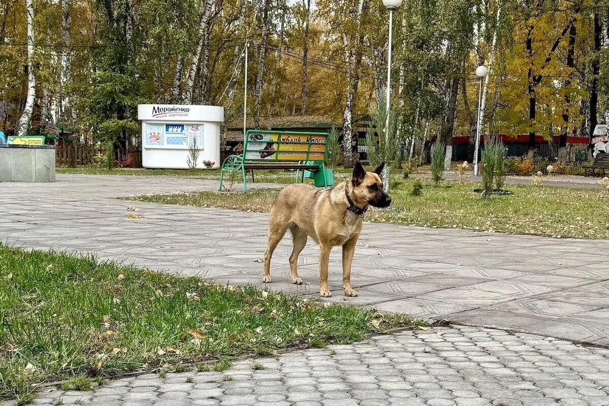    SterlitamakTime.ru