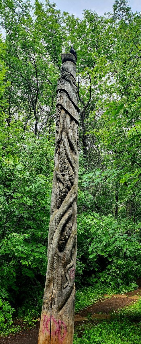 Собственное фото автора.