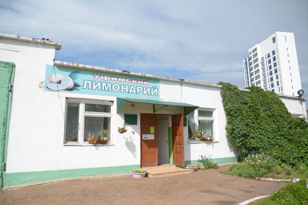 Фото gryadkaojz.ru