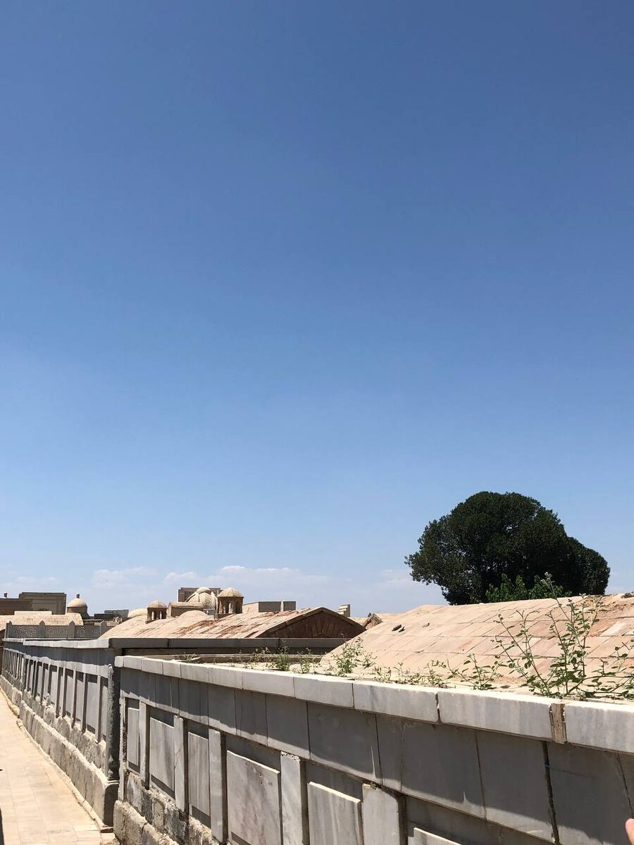 Некрополь правителей