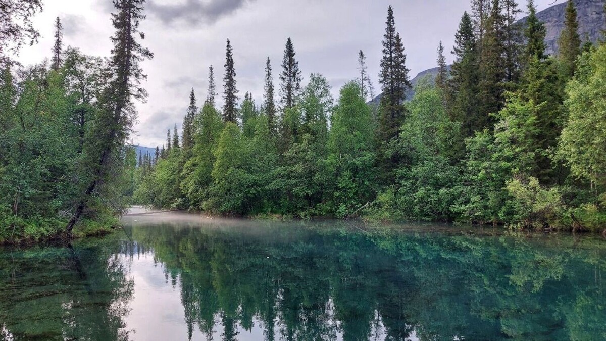     Источник: 1MI