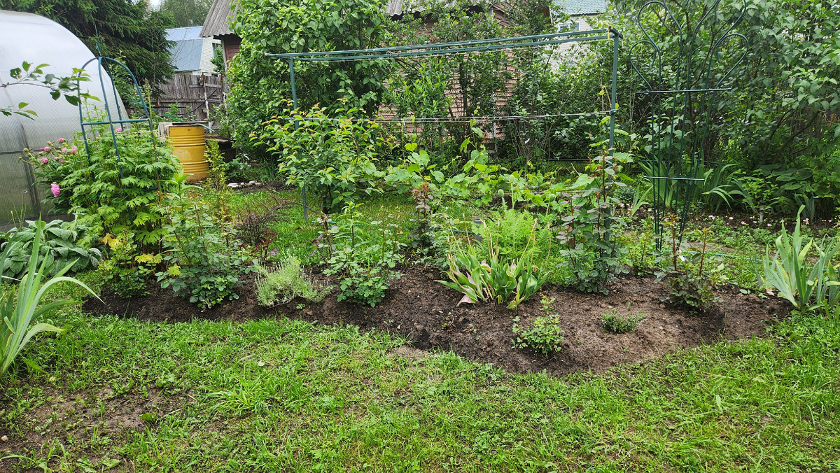 В круглой опоре хорошо видно дельфиниум. И еще не все розы хорошо видно.
